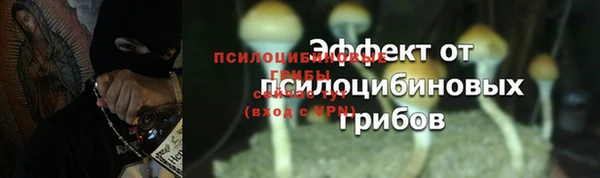 крисы Белоозёрский